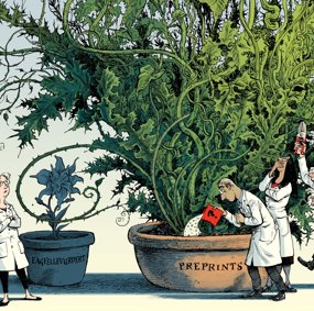 Illustration of scientists tending  to a plant labeled preprints, while a small plant labeled peer review stands in it's shadow